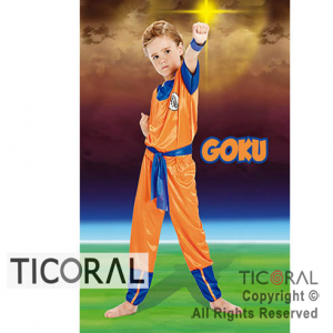 DISFRAZ DRAGON BALL GOKU NI�O CAND TALLE 3 X 1